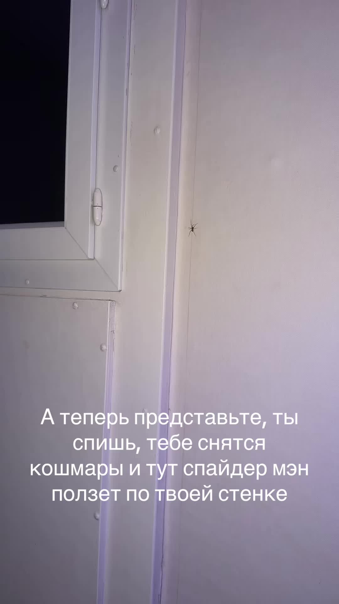 @𝓝𝄞𝓁𝒜 ❀