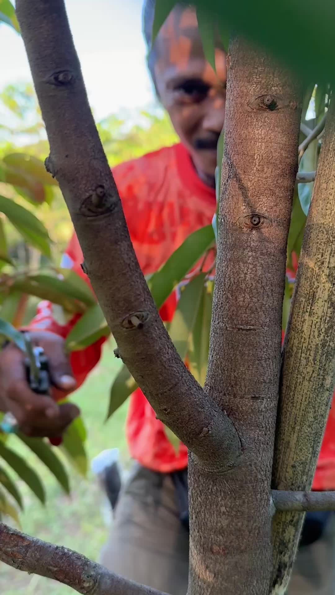 @AA KADU