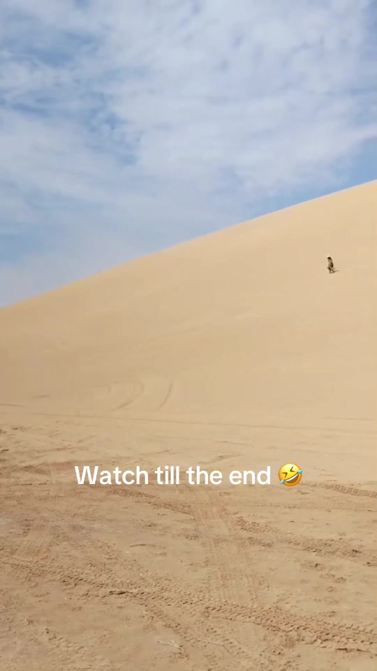 @NgwanaMoletlane