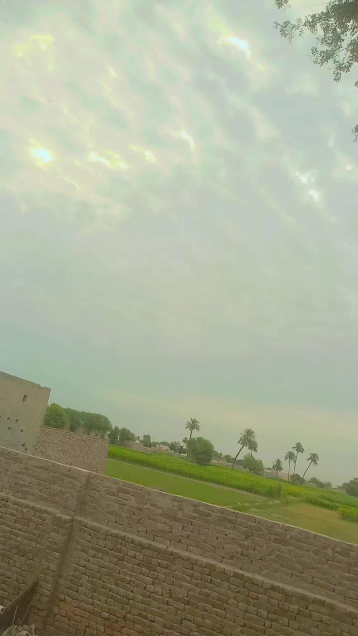 @A.  Z
