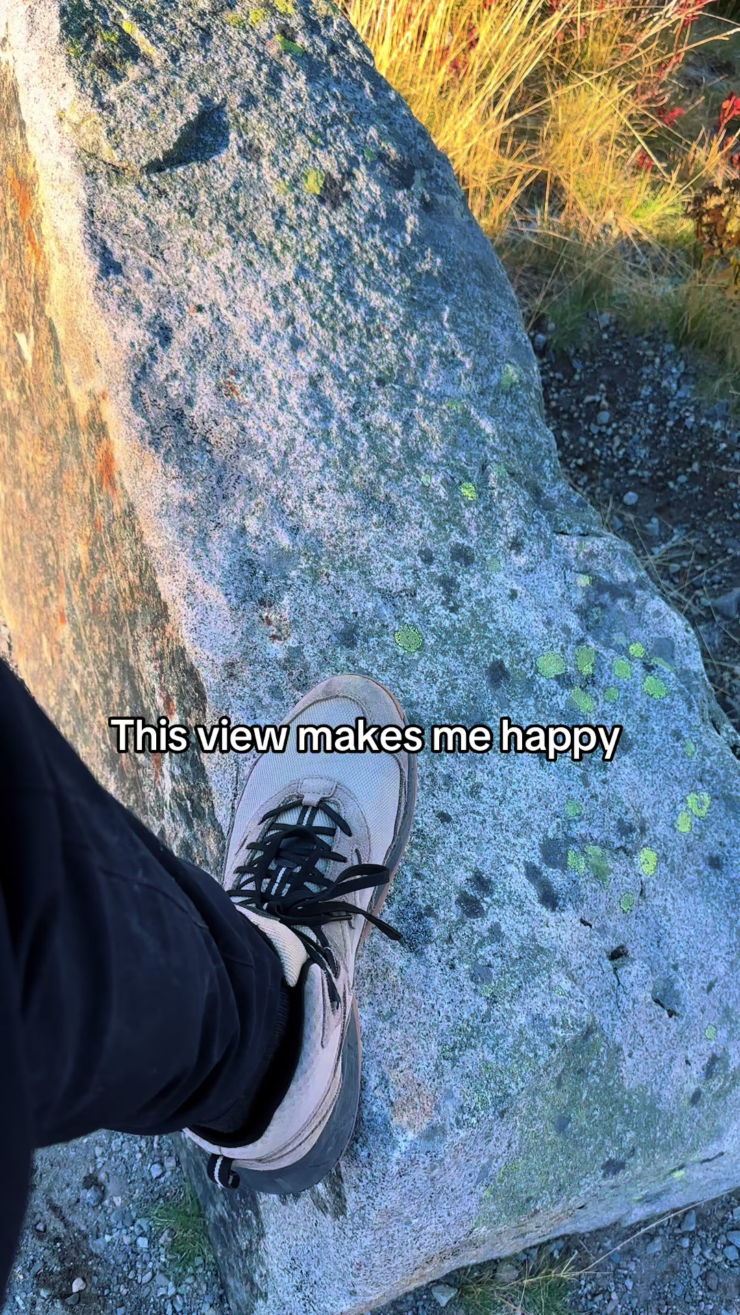 @🌲 James | WA 🏔️