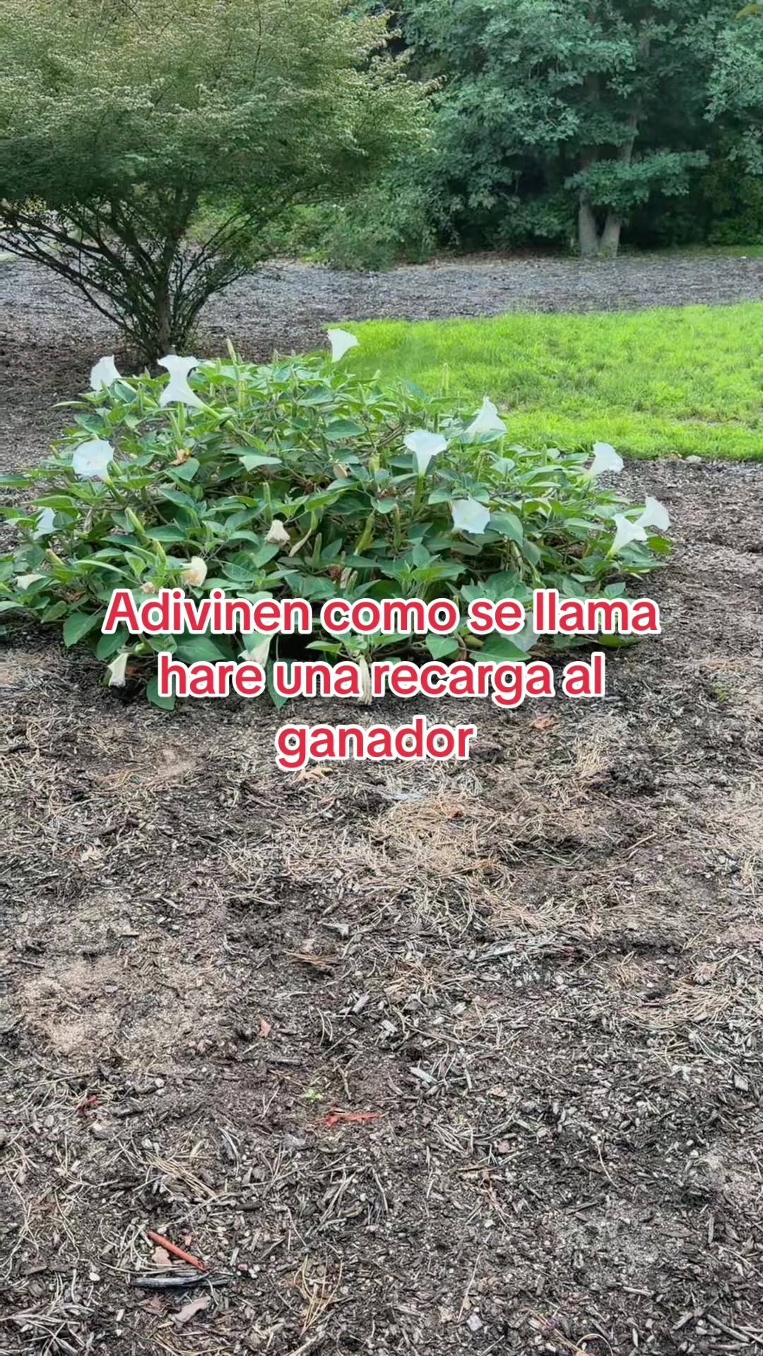 @🌕🦁🐓SANDRY❤️🦋🐛♓️