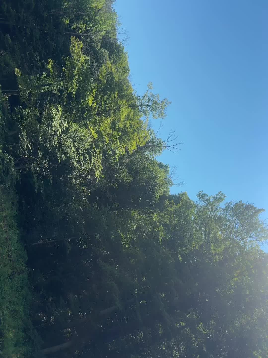 @🎀☘️Kenzie☘️🎀
