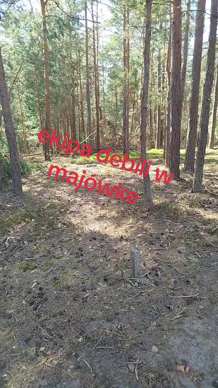 @da_mian