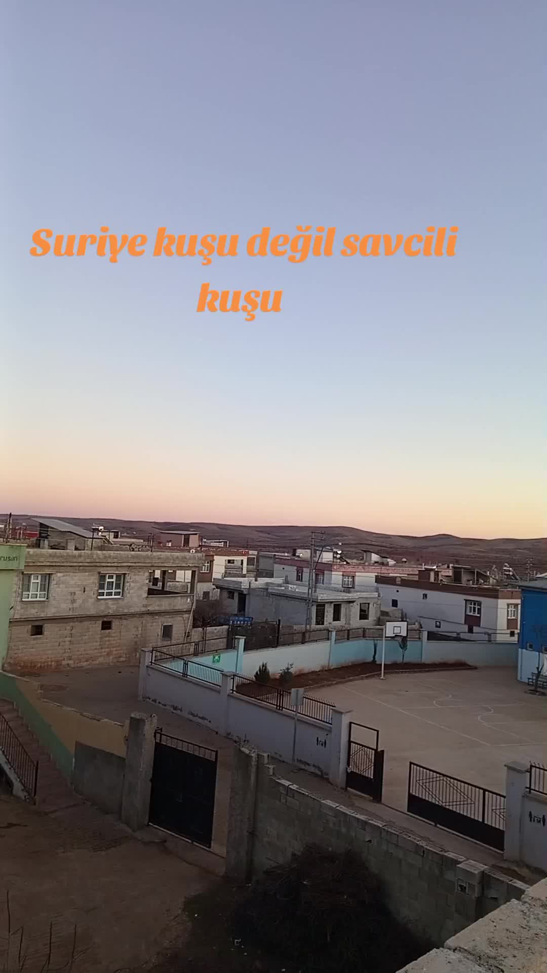 @Memocan