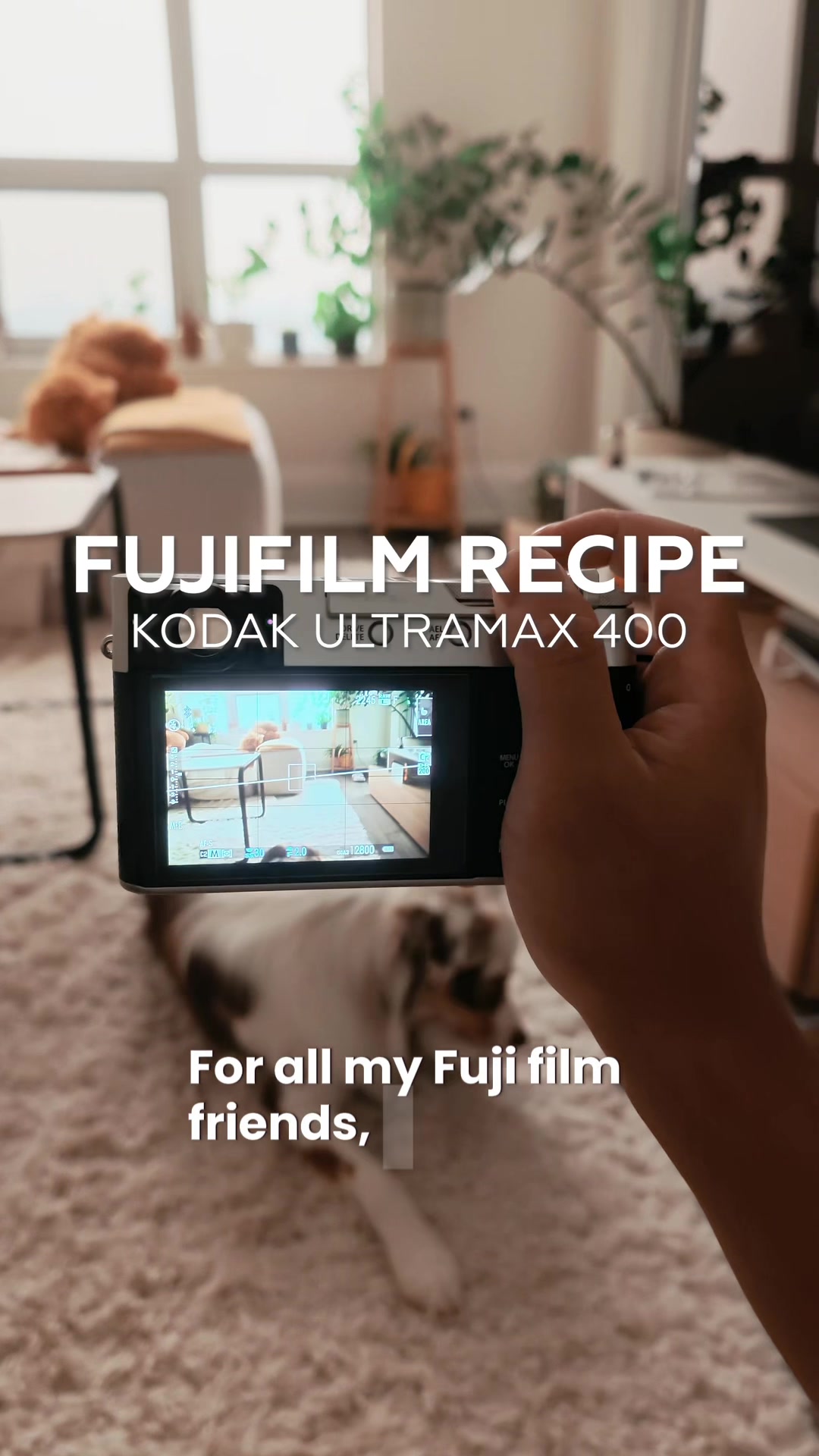 @alexandfujifilm
