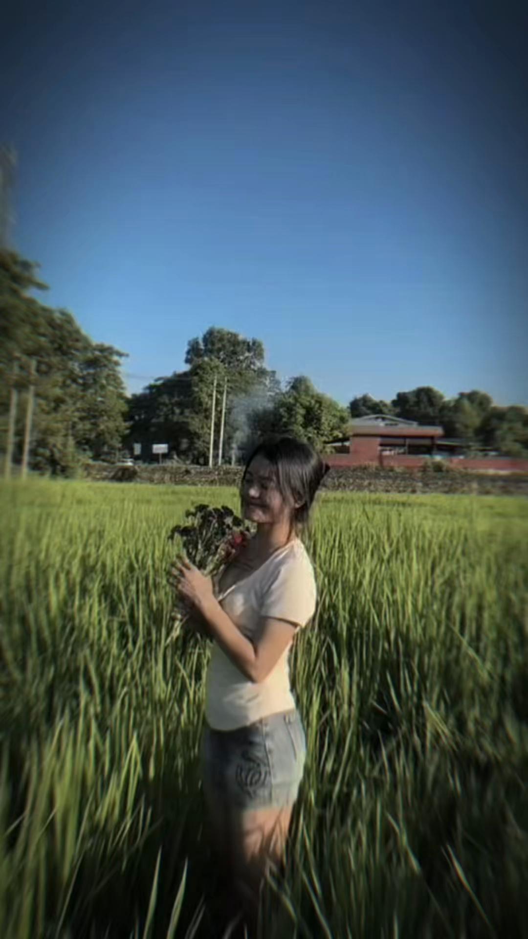 @🍃
