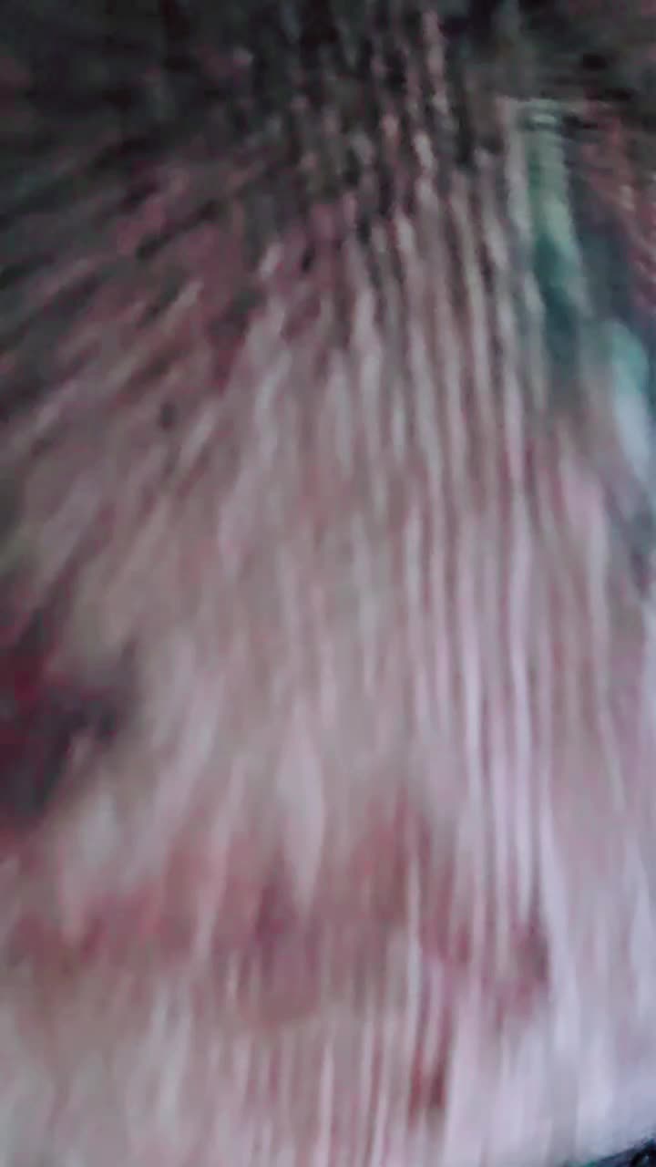 @ARod7788