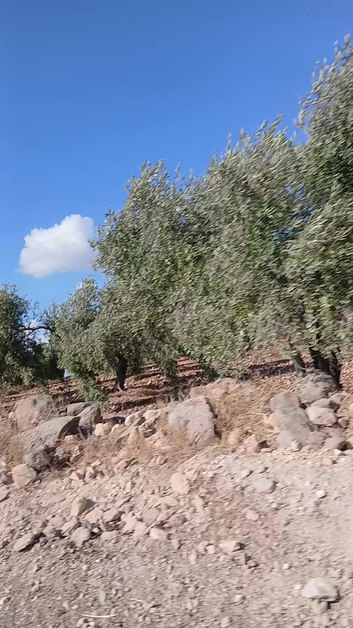 @بنت🇯🇴الاردن👑👑