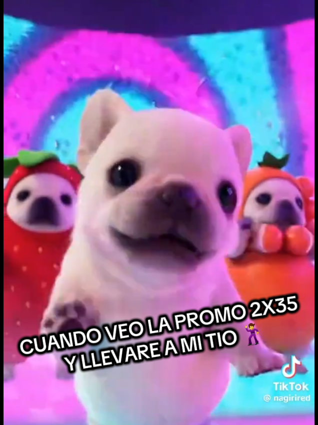 @quetalfeesa