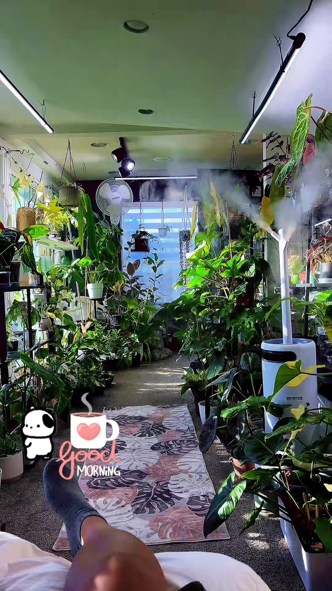 @PlantLadyNico🪴