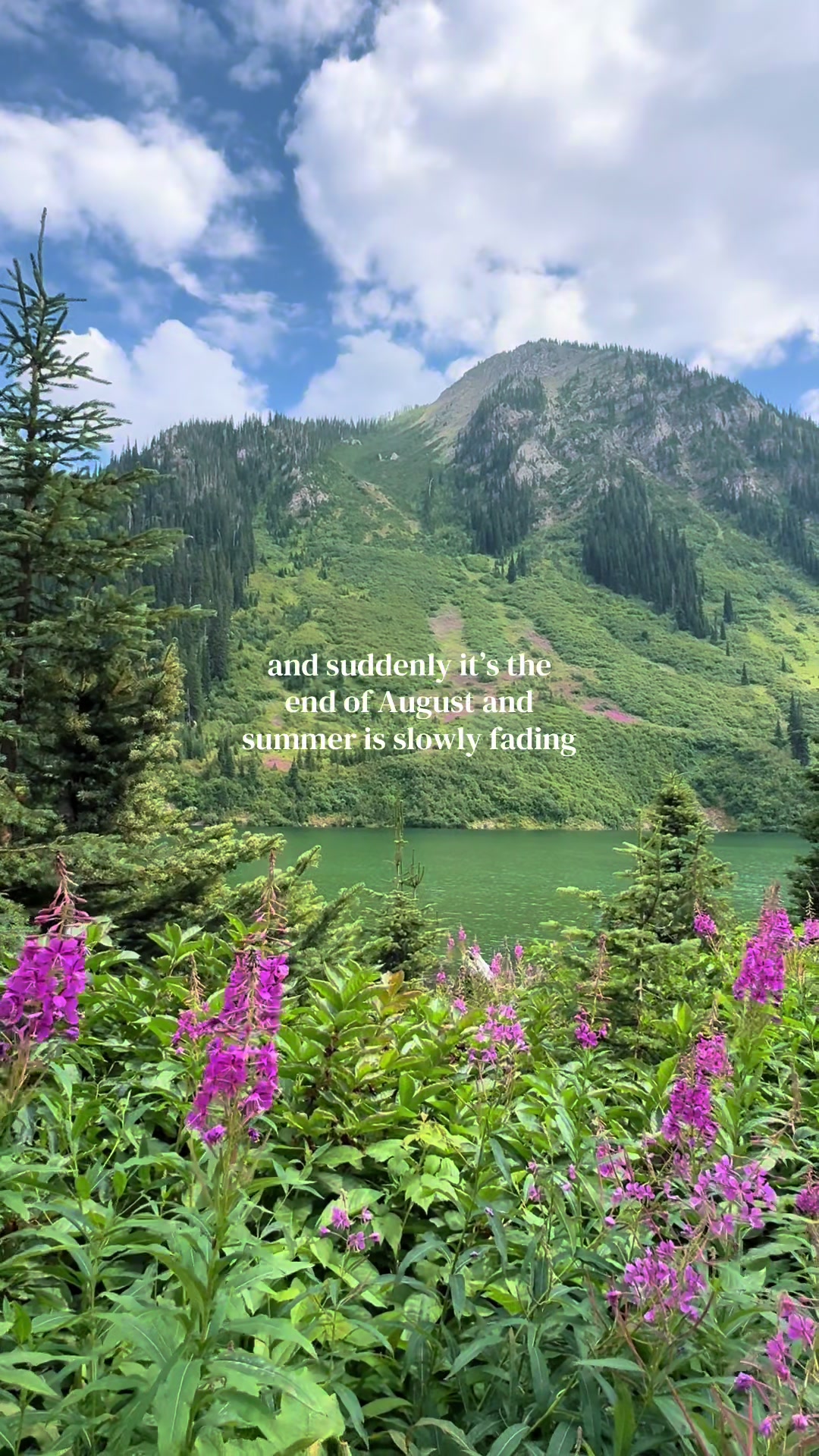 @Lucy ⛰️✨🌲