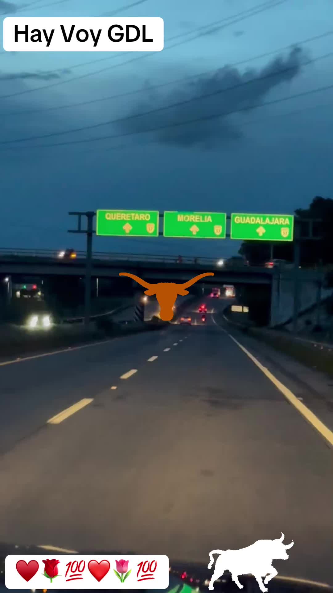 @randymacario