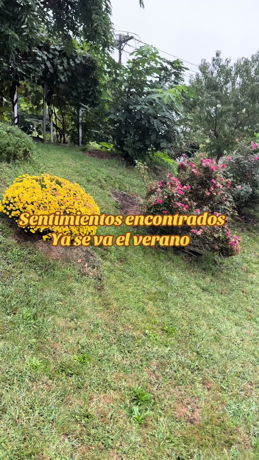 @Veronica Castillo