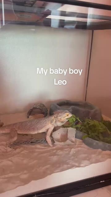 @Doombuggy