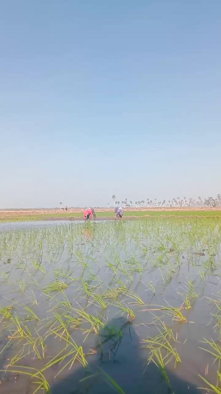 @Sudhy