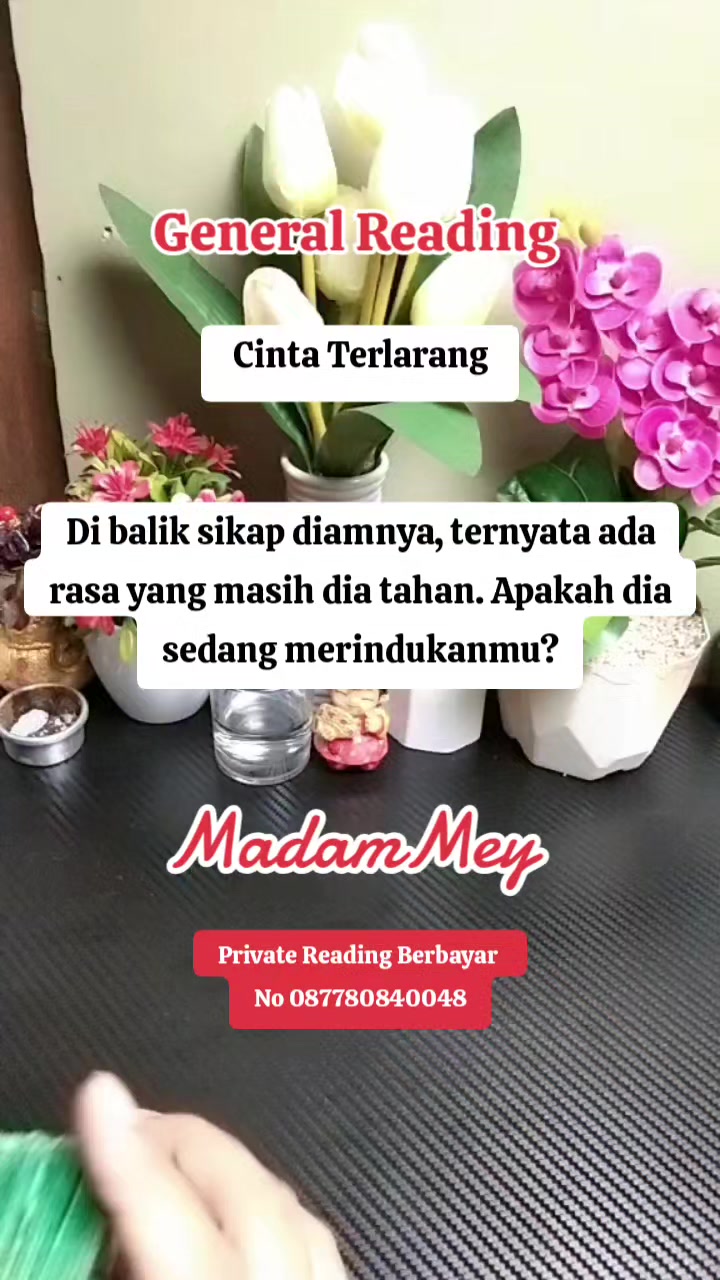 @🇲🇨MADAM MEY🇲🇨