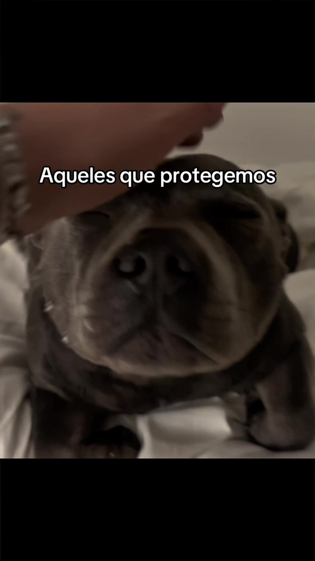@Carne é cruel