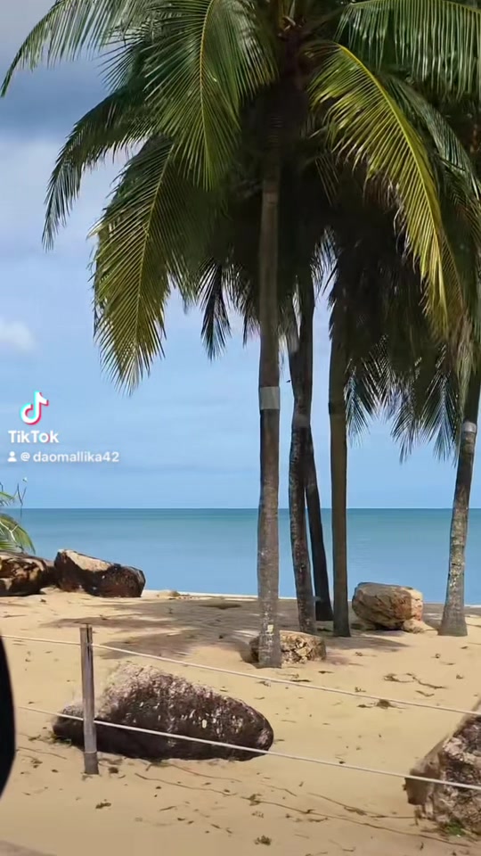@daomallika42🍀🌊💵💰