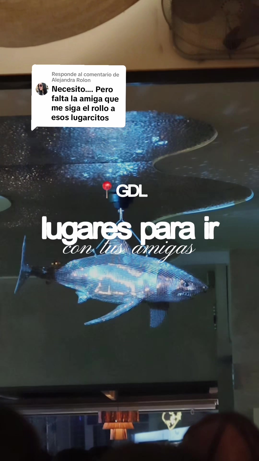 @julieta frine