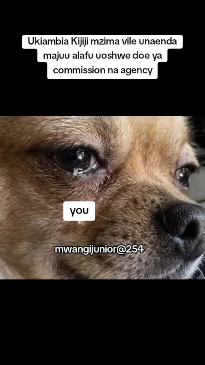 @Mwangijunior@254