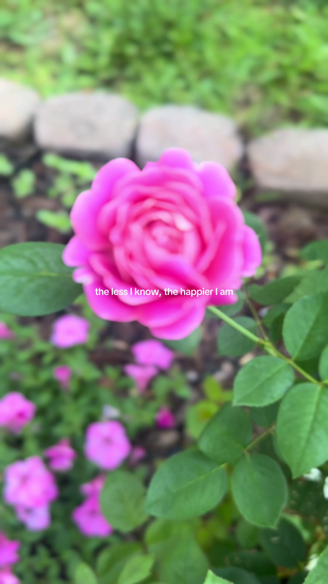 @Cottageonwynn