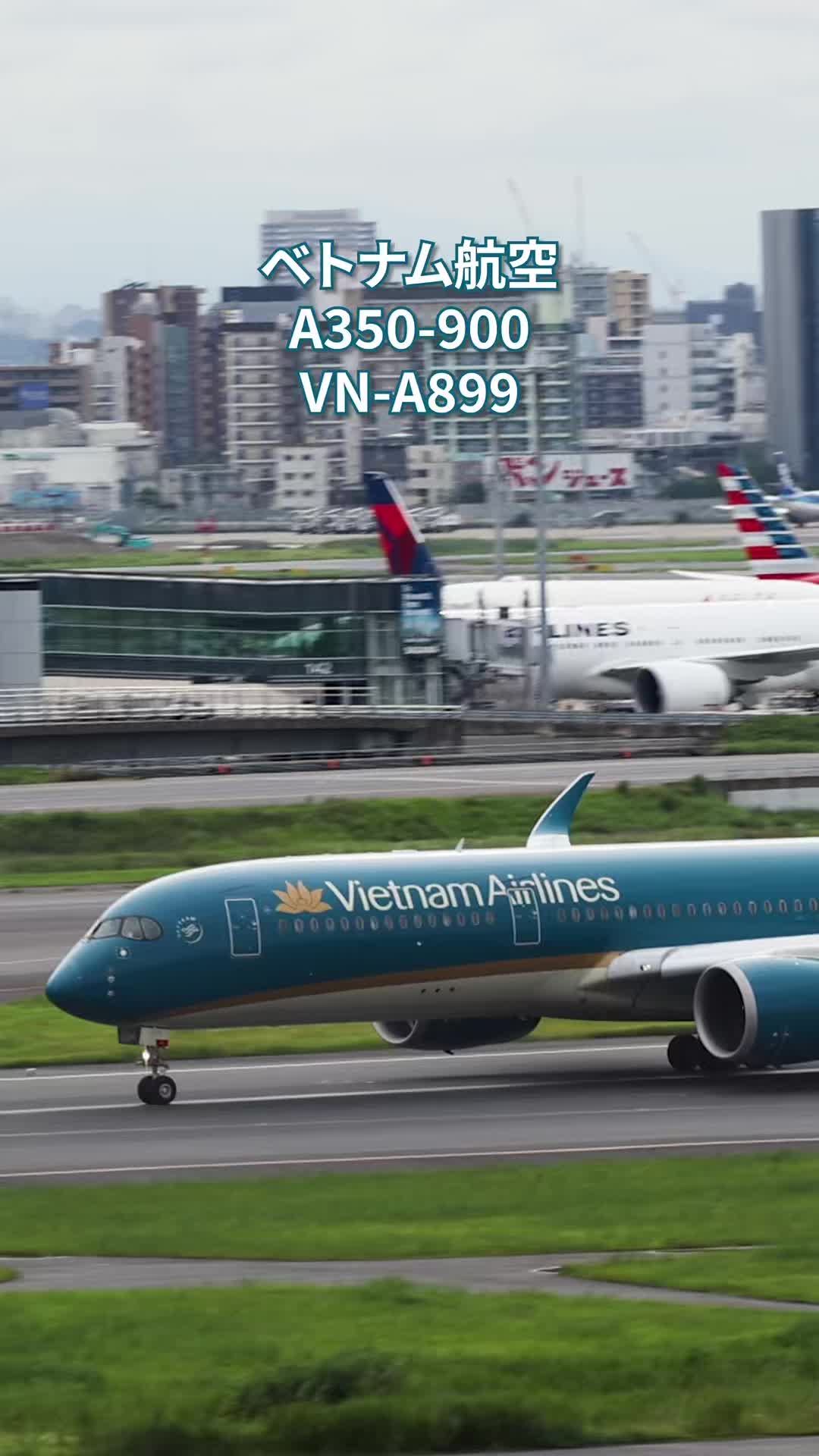 @Skyline だ〜はね|Haneda Airport ✈️