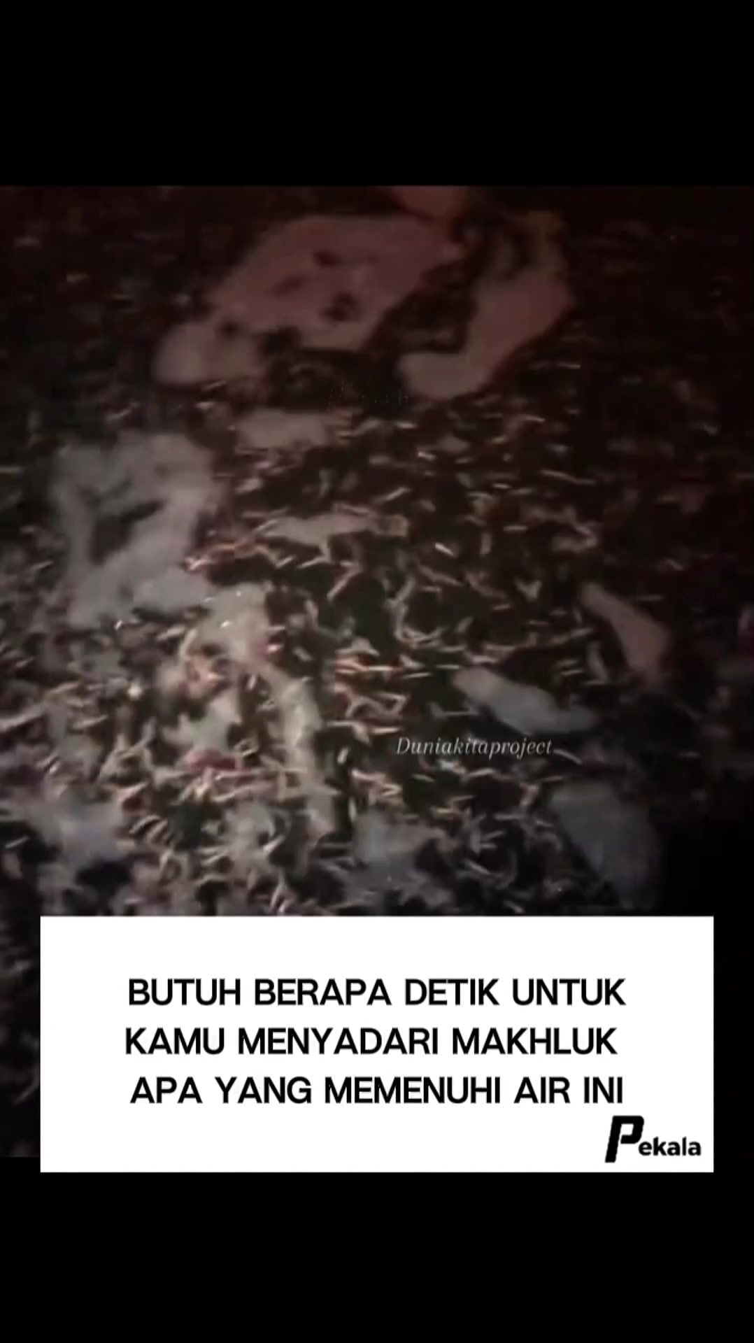 @Pekala
