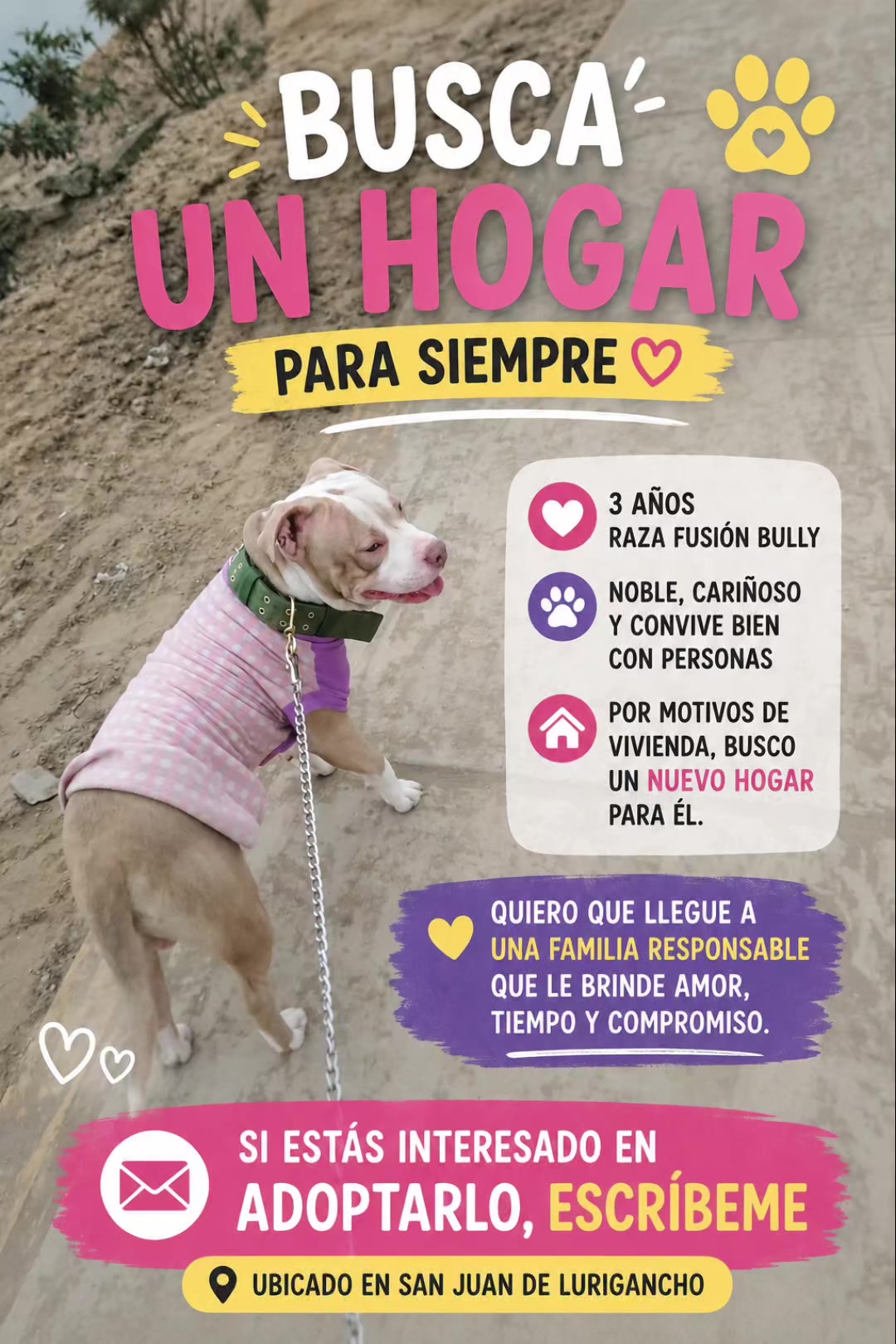 @Perritos Voladores