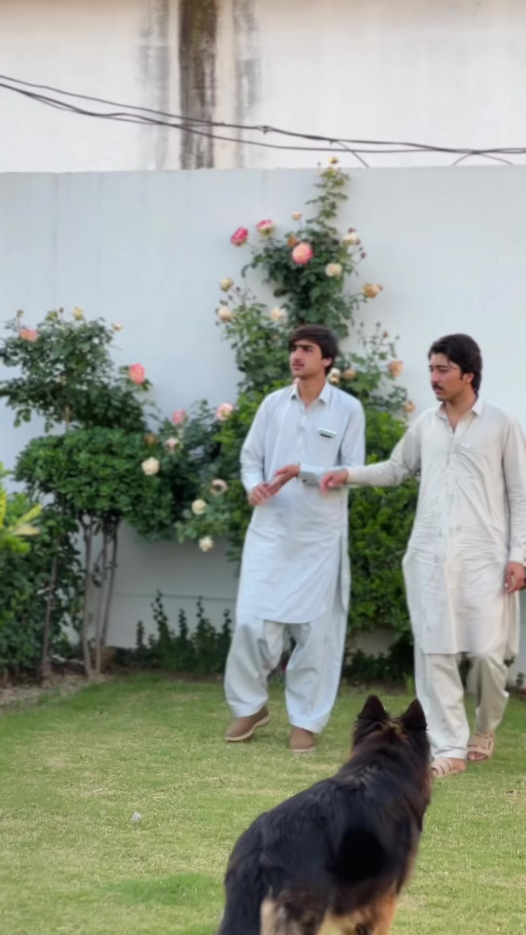 @Manzar Bacha