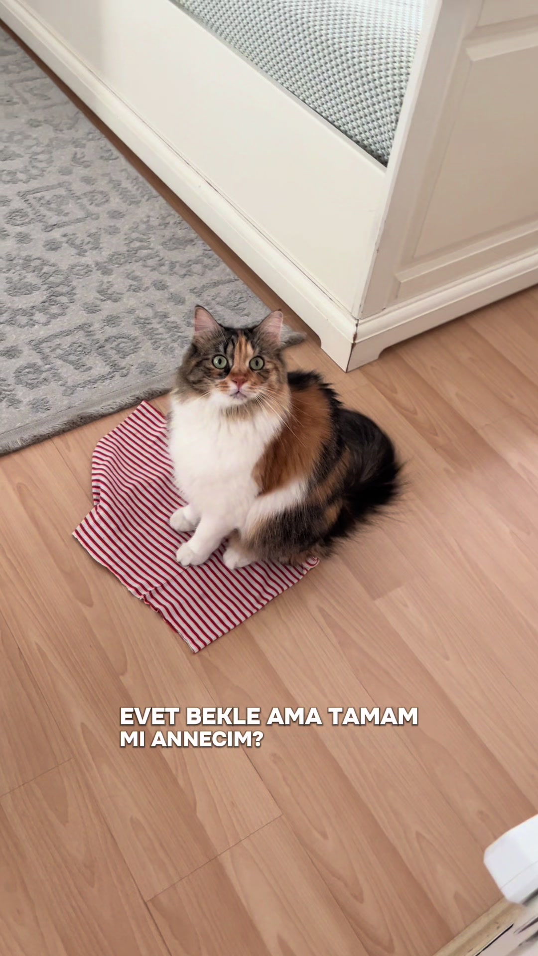 @konusankediminnos