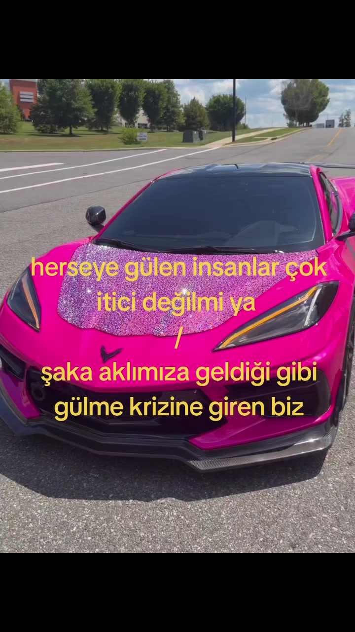 @𓆩❅𓆪