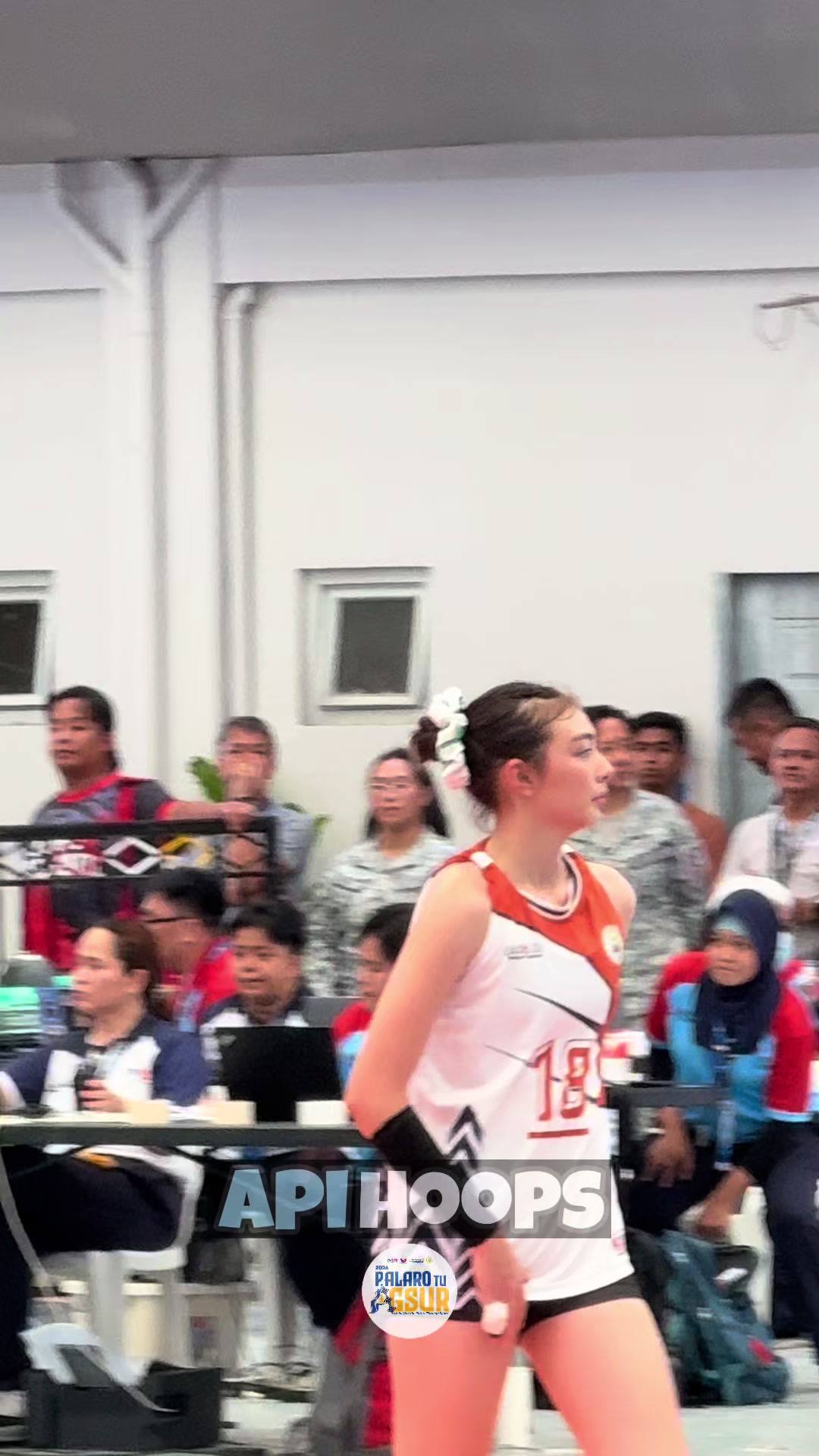 @apihoops_