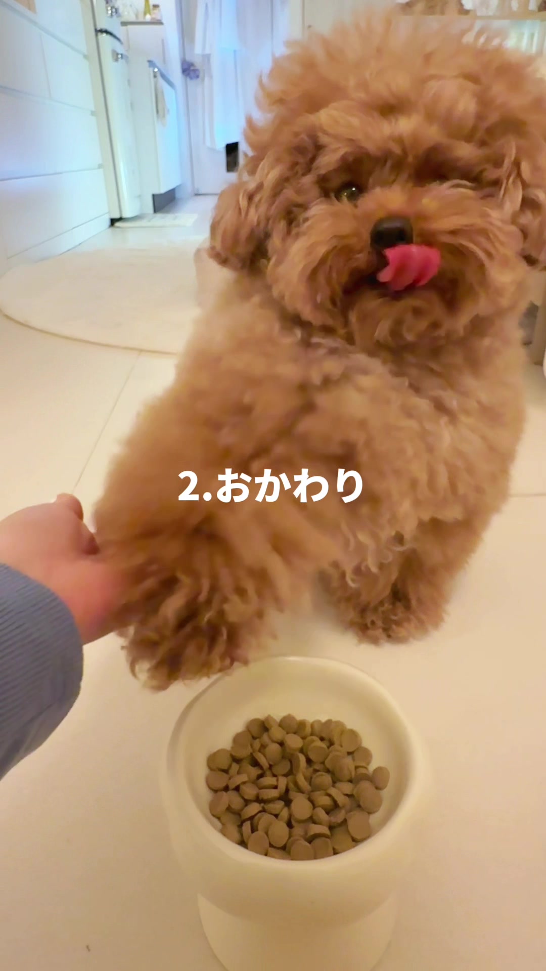 @むぎ🍫🧸