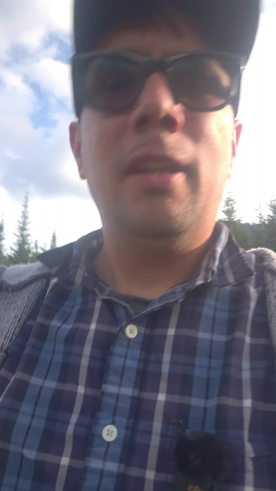 @pvforagers