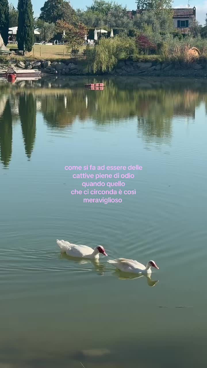 @valeen 🇦🇷