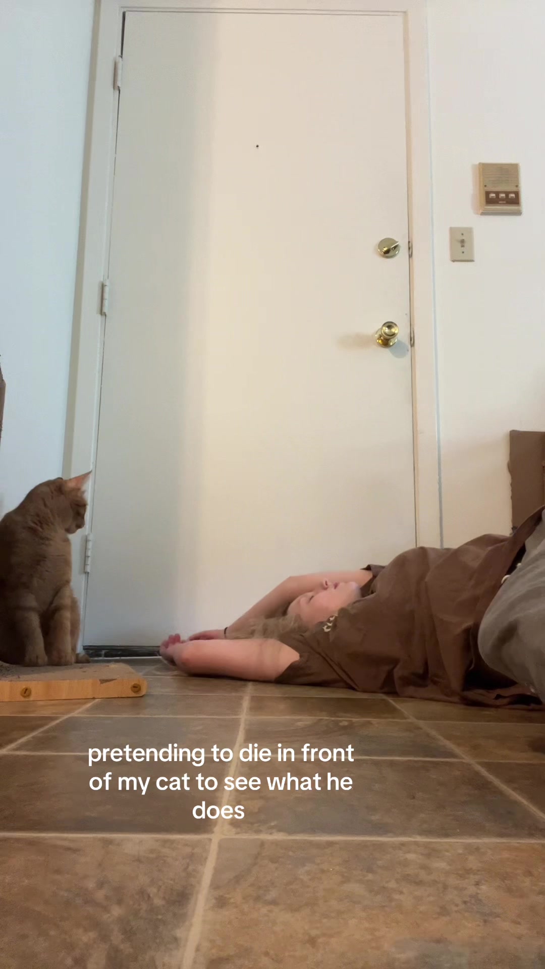 @maryyy🍄🧚🌙🐈&zwj;⬛