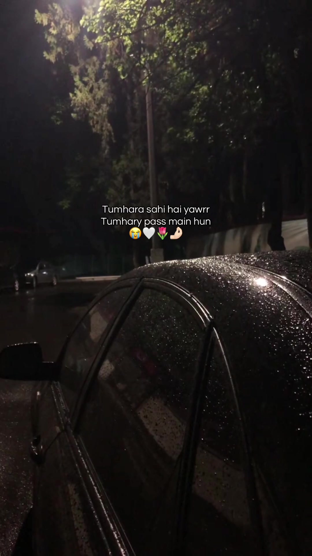 @𝗭 𝗨 𝗥 𝗜 𝗜 𖤍 🥶⃤
