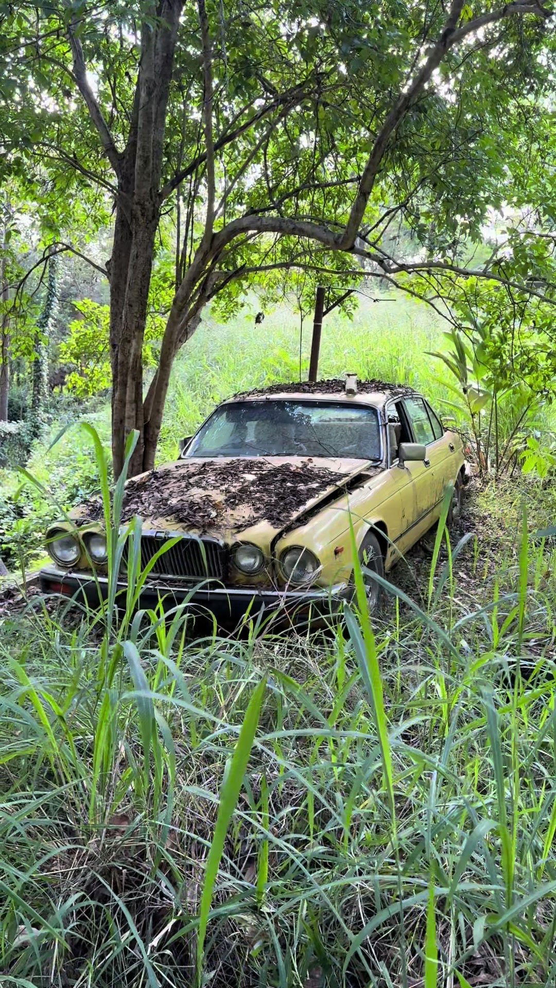 @urbex_logancity