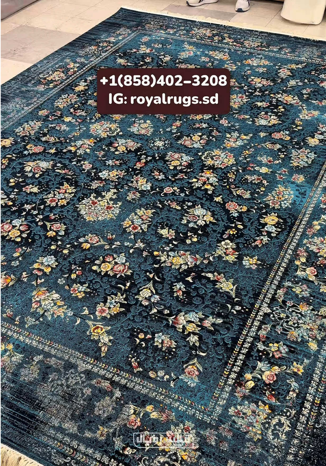 @Royal Rugs - قالین فروشی رویال