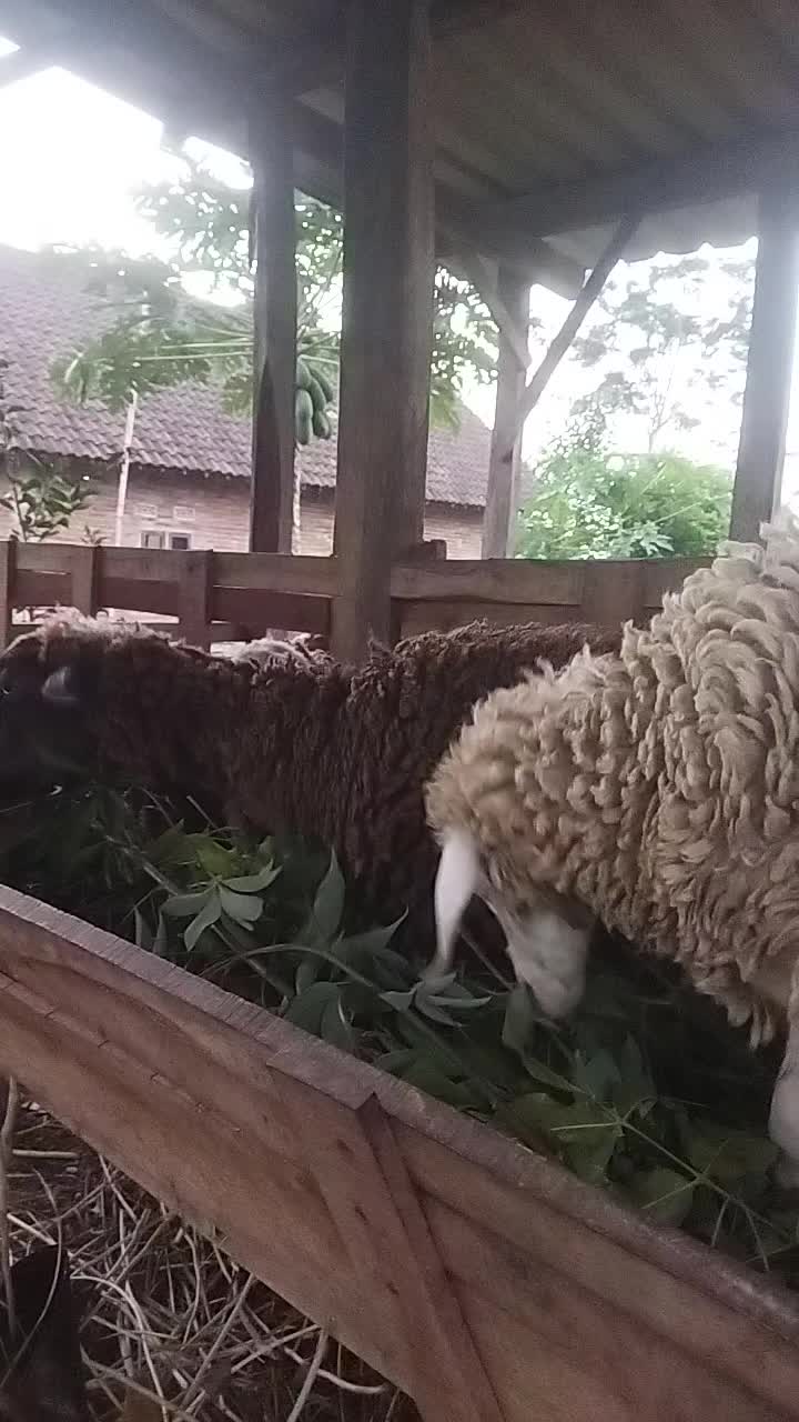 @I'm A Farmer