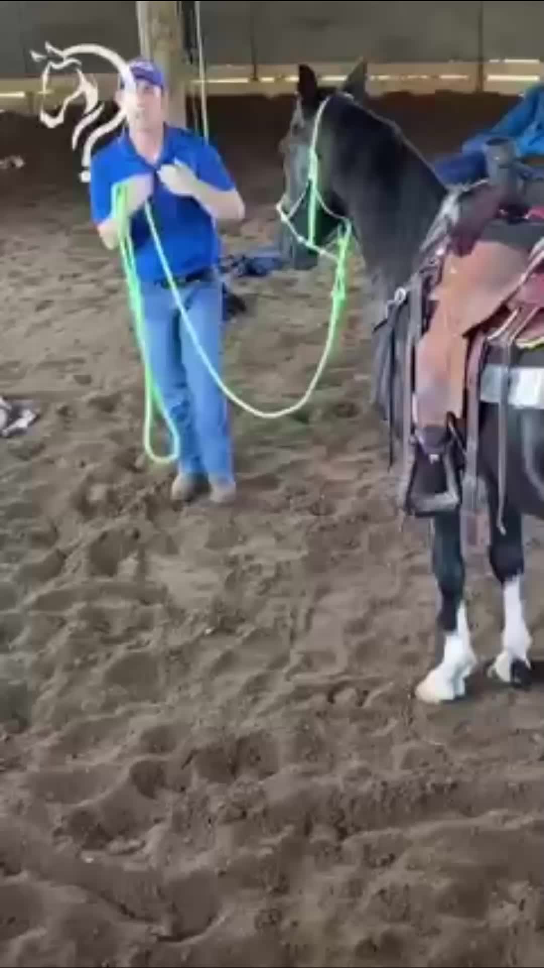 @Horse Help