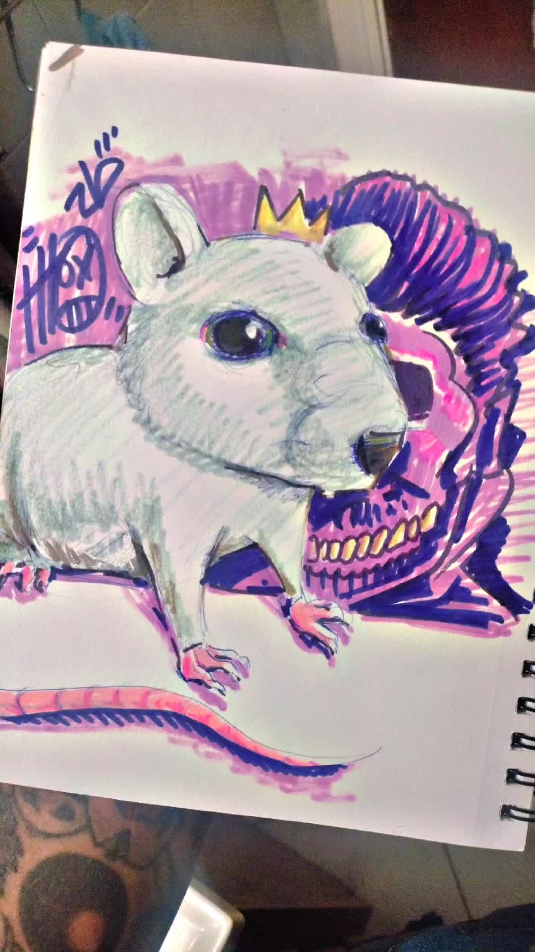 @youngyoda