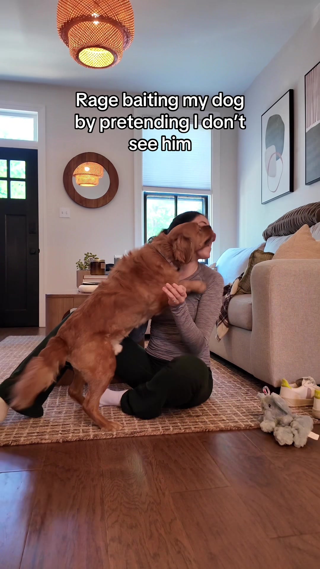 @joeythegoldencavalier