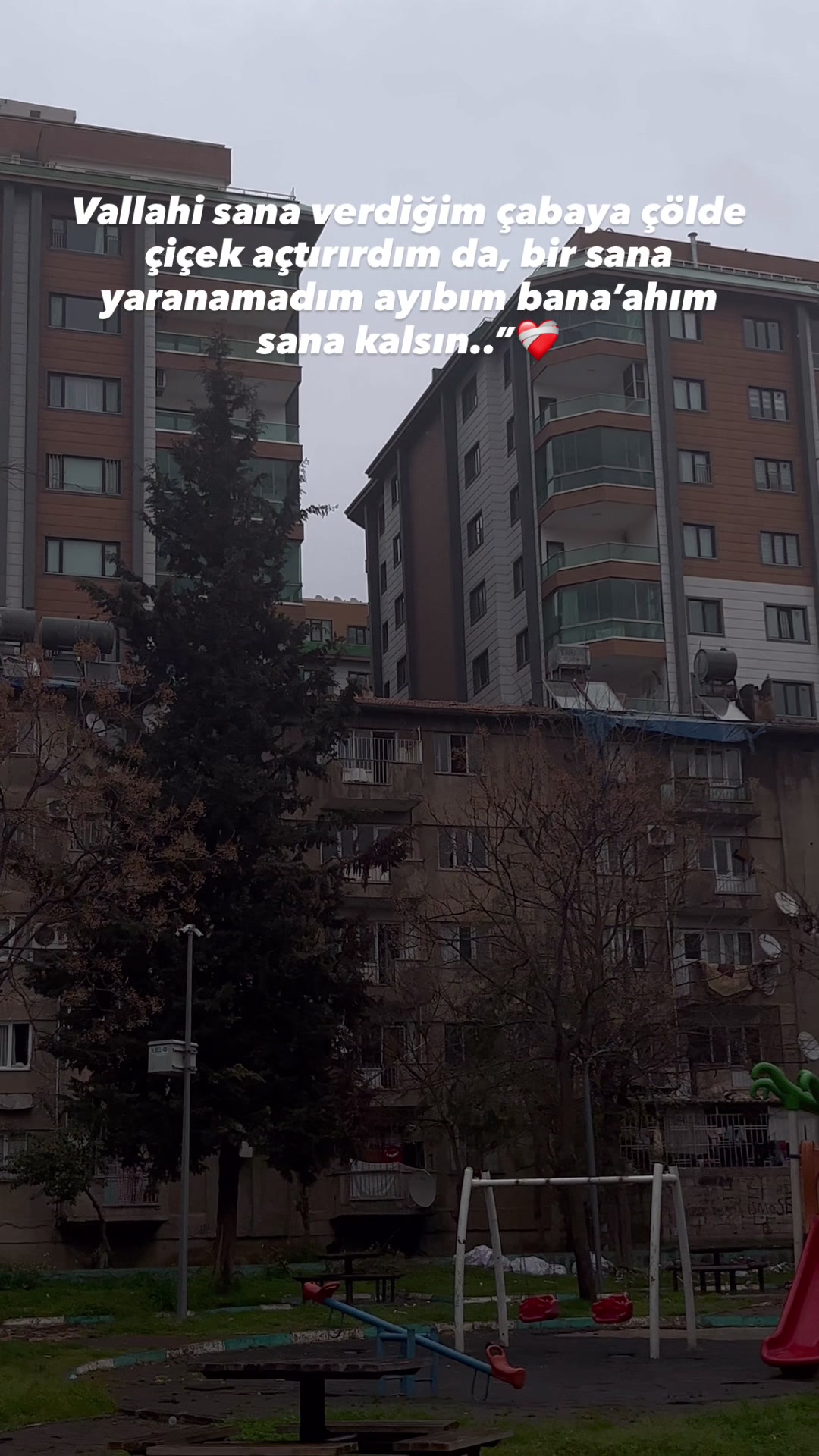 @sessiz_saiir1