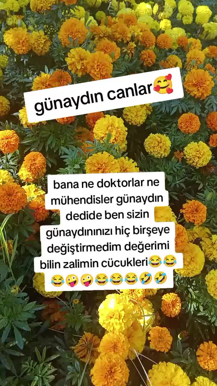 @🤍72sinem72🤍