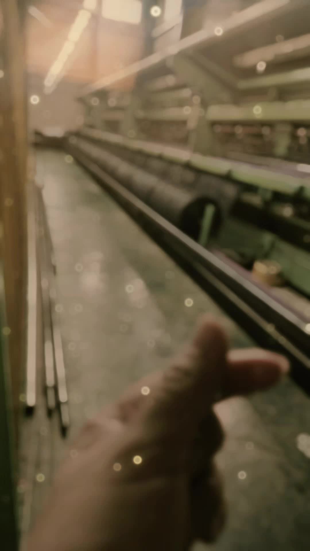 @✨☘️사라 ☘️✨