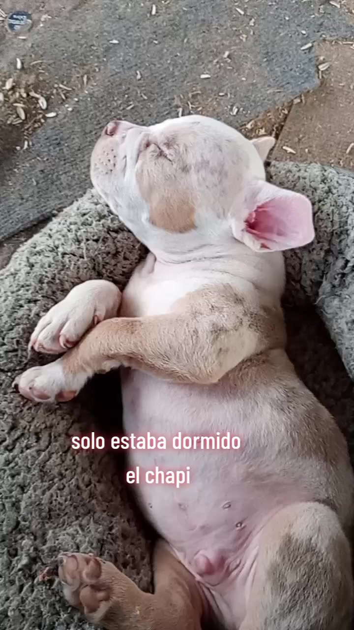 @JULIO SÁENZ