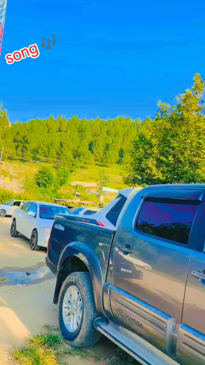 @ncpcarlover1
