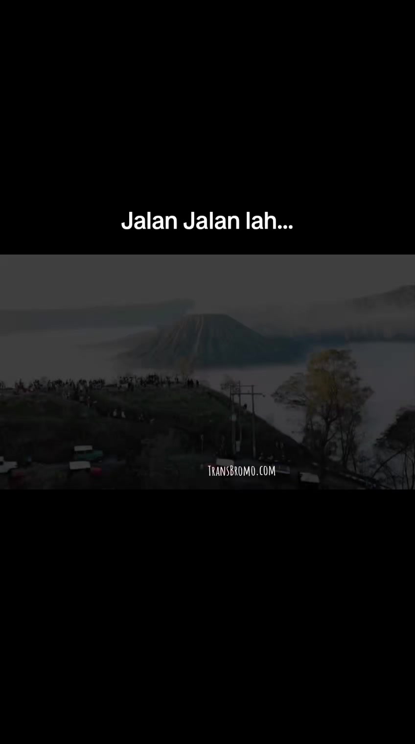 @transbromo
